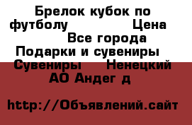 Брелок кубок по футболу Fifa 2018 › Цена ­ 399 - Все города Подарки и сувениры » Сувениры   . Ненецкий АО,Андег д.